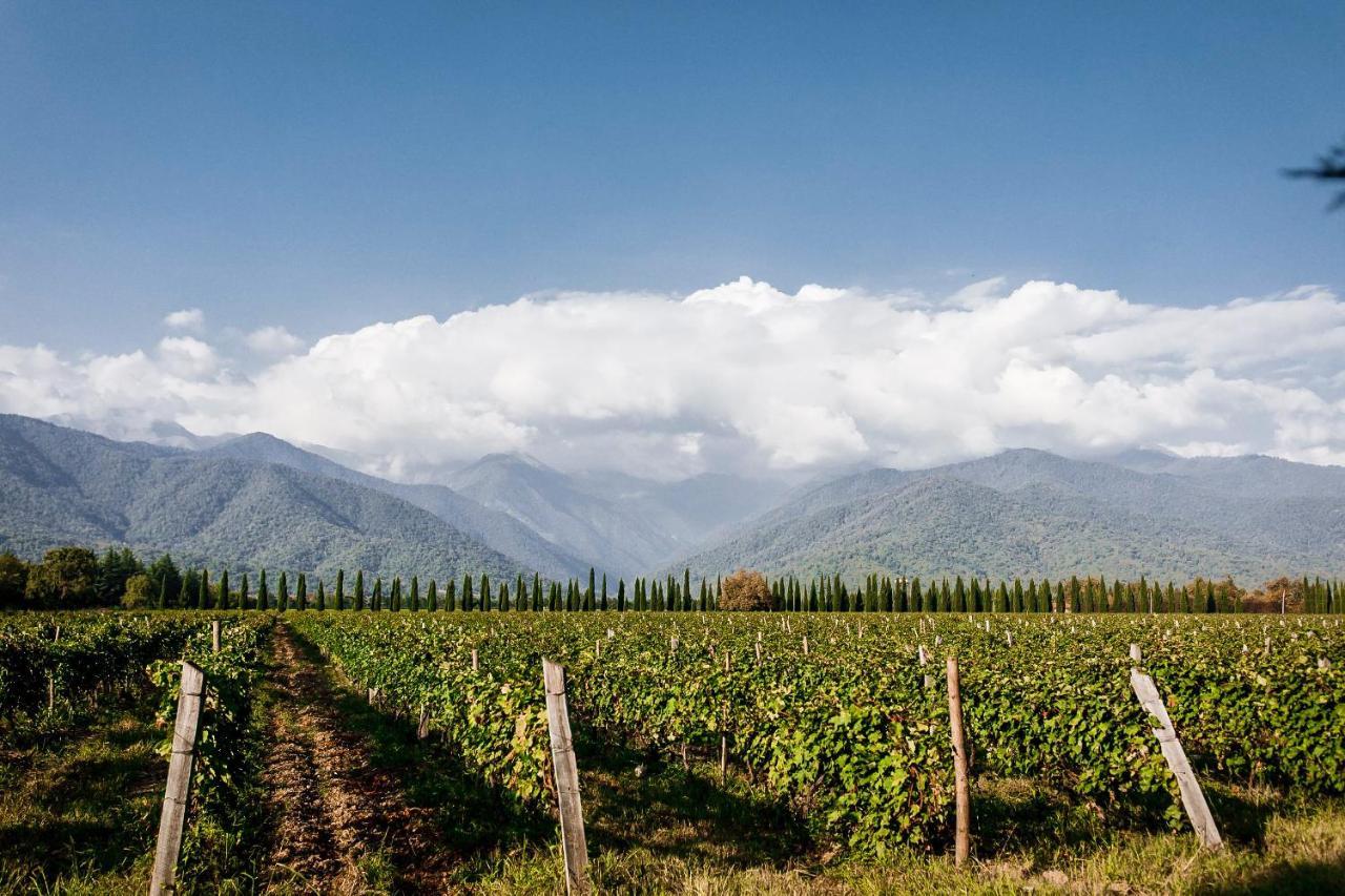Chateau Artwine Art'ana Exterior foto